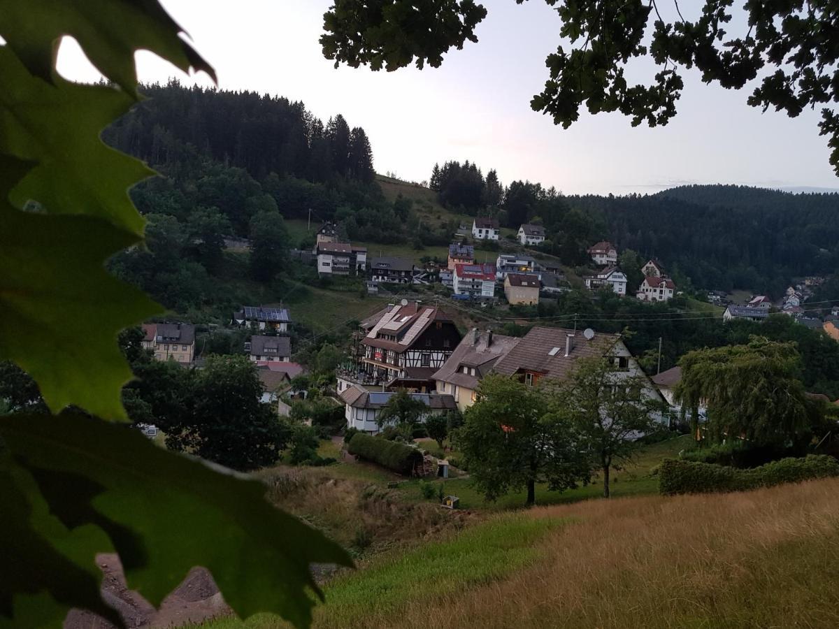 Gasthaus Muehlenstube Lauterbach  Exterior photo